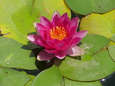 负责任的数字娱乐